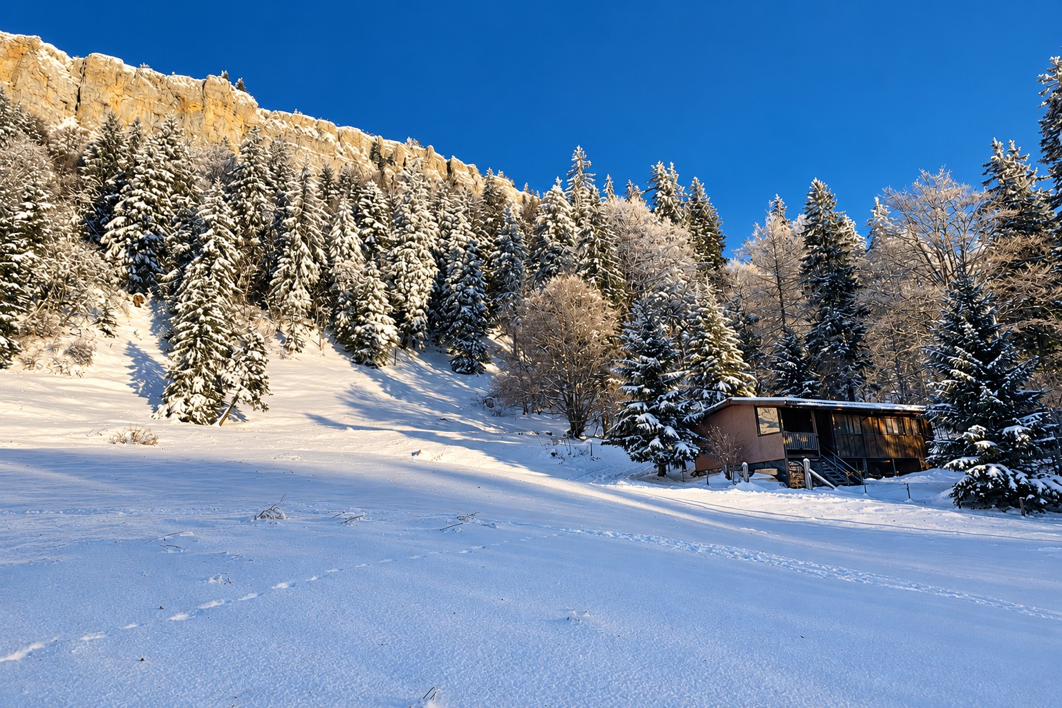 Die Ski-Hütte des Skiclubs Haag in verschneiter Winterlandschaft
